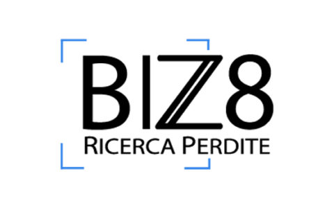 Bizz8 Ricerca Perdite